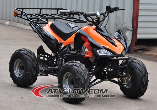 48V 800W &amp; 1000W Shaft Drived Electric ATV Quad Bike with Brushless Motor
