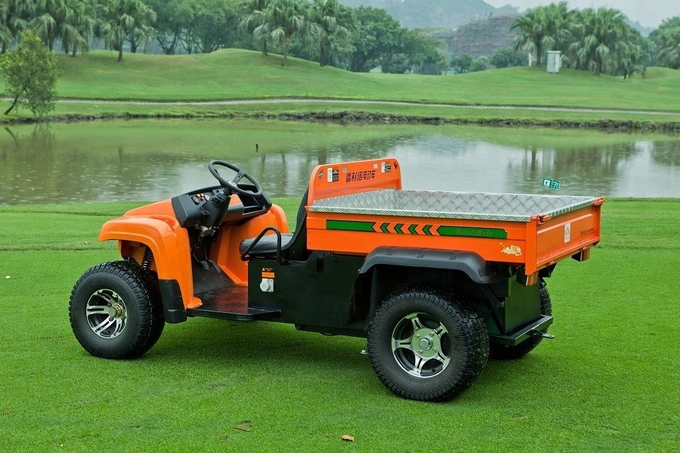 China 2 Seats Adult Electric UTV with Cargo Box Use Farm Cheap for Sale
