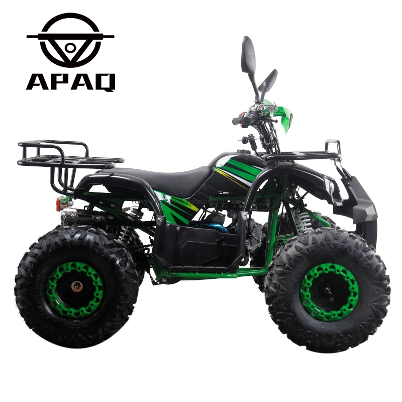 4 Wheels 125cc 110cc ATV Quad Bike Toy for Teenager