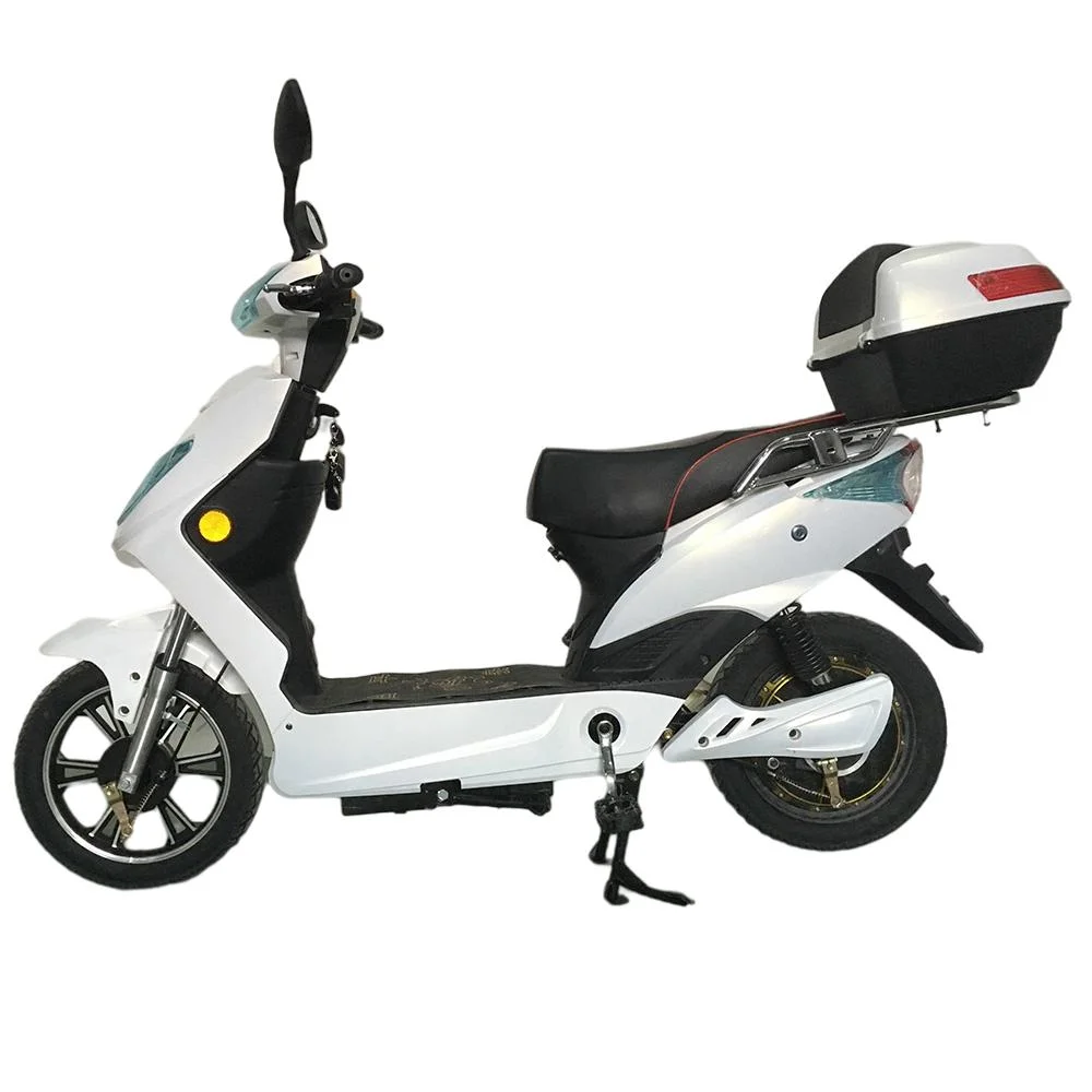 200W~500W 48V Outdoor Electric Bike with Pedal, Rear Expending Brake