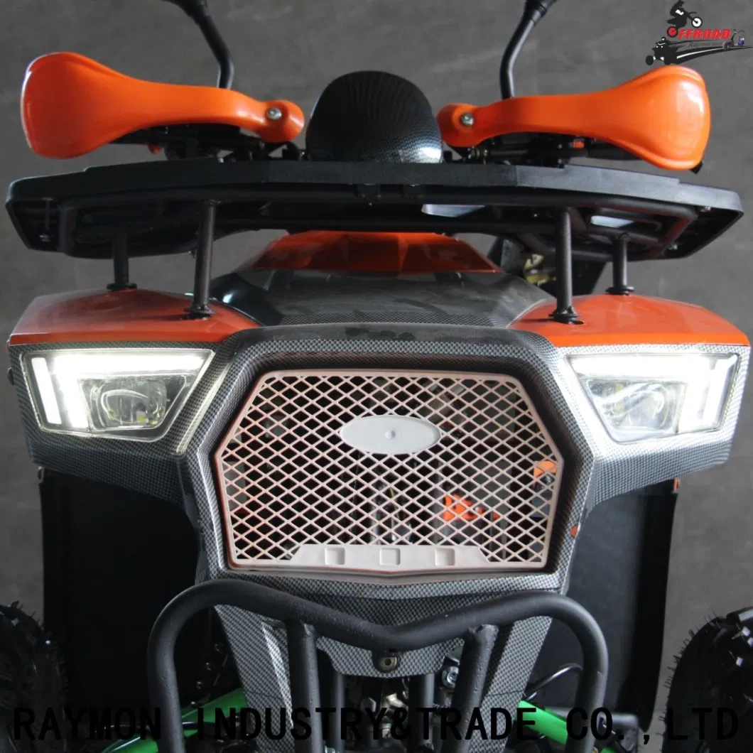 China Factory 110cc/125cc Gas Powered 4 Wheeler Quad Bike ATV for Adults