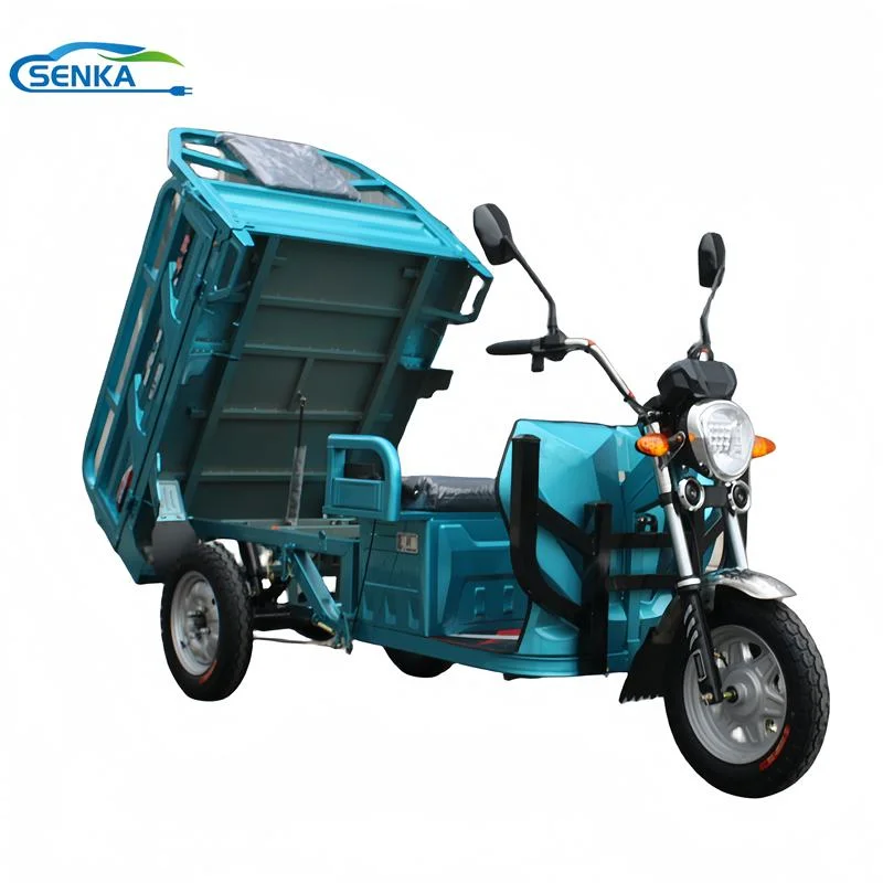 Senka Cheap Human Loader 3 Wheeled Motorcycle Agricultural Cargo Tricycle Motor Trike Electric Vehicle
