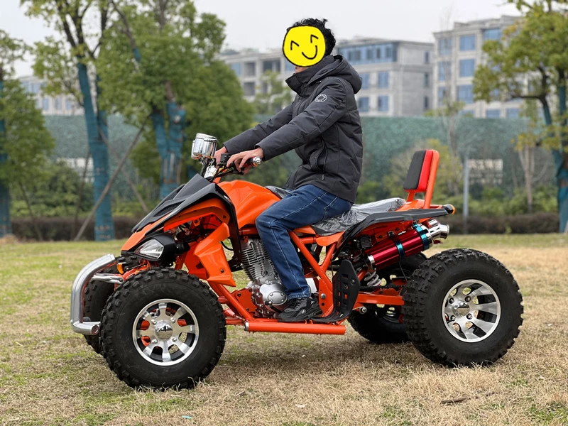 Big Tyre 250cc ATV Bike 4 Wheeler ATV Quad for Adults