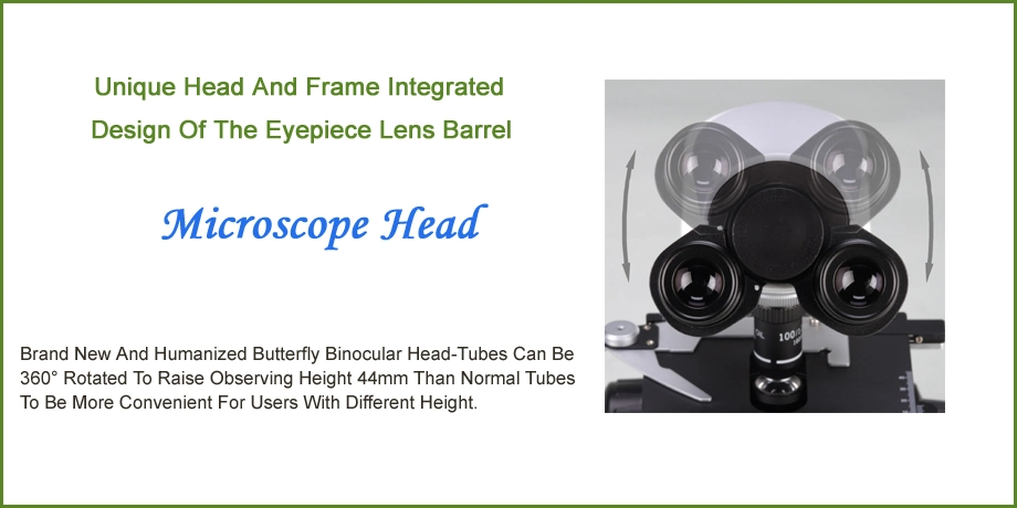 Laboratory Quadruple Nosepiece Biological Microscope Factory Price for Smart-3LED