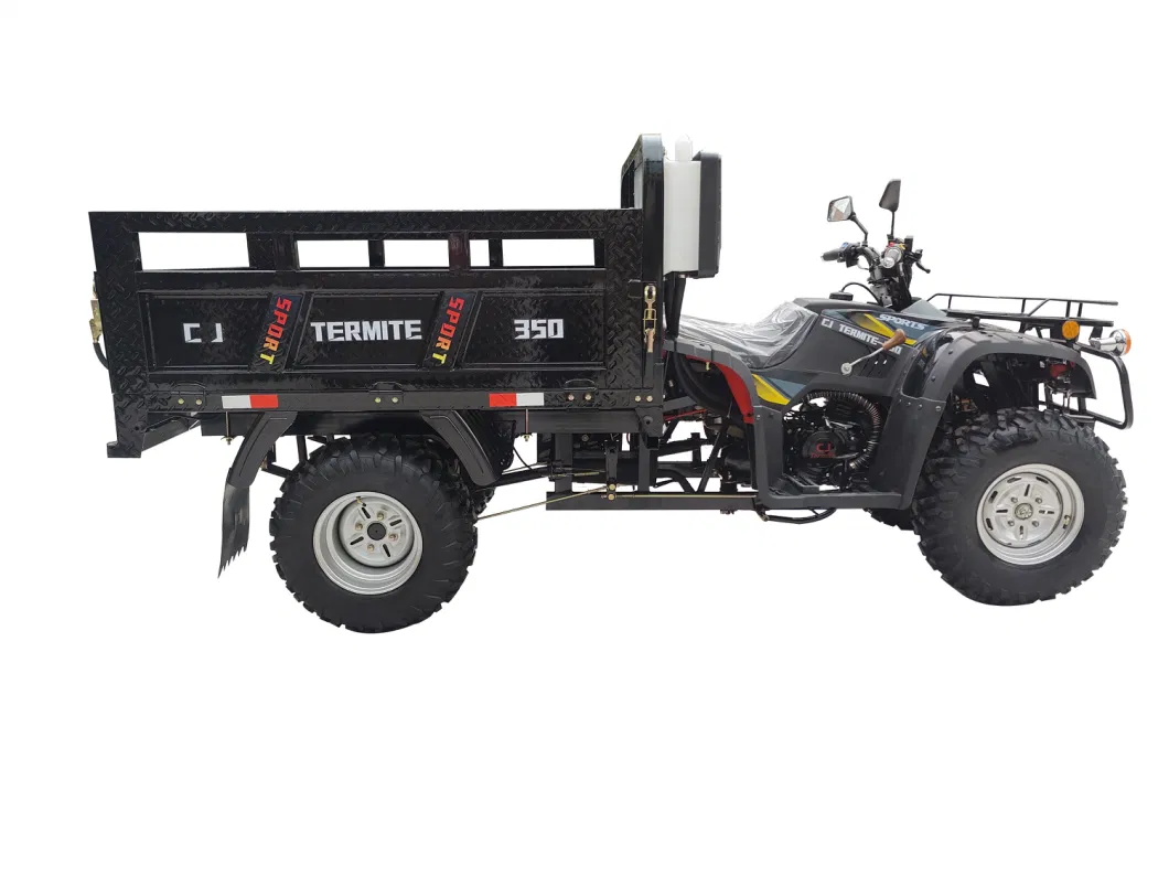 Four-Wheel Beach off-Road Vehicle/All-Terrain Vehicle/ATV Quad