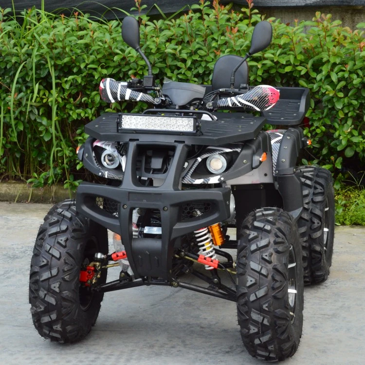 12inch Wide Alloy Wheel 250cc Powerful 4X2 ATV Quad