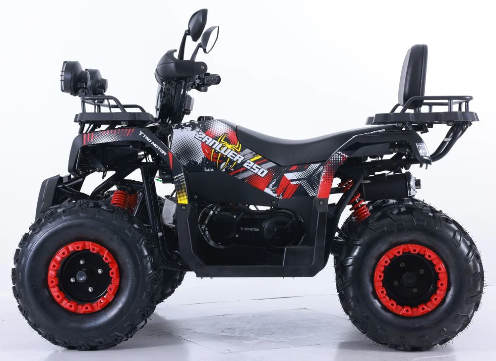 Tao Motor 2024 New Automatic Farm ATV Quad Bike200cc 250cc ATV