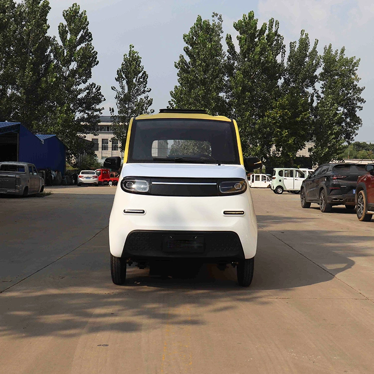 Electric Four Wheel Vehicle High Performance Electric Vehicle Adult