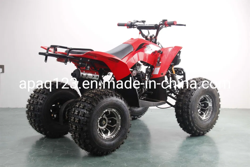 Apaq New Model 125cc ATV Quad Bike with 8 Inch Wheel