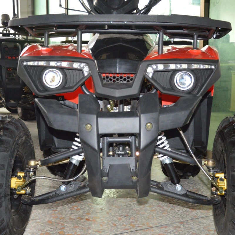 Atvs 125cc Quad ATV 4X2with CE Racing ATV and Electric ATV for Kids