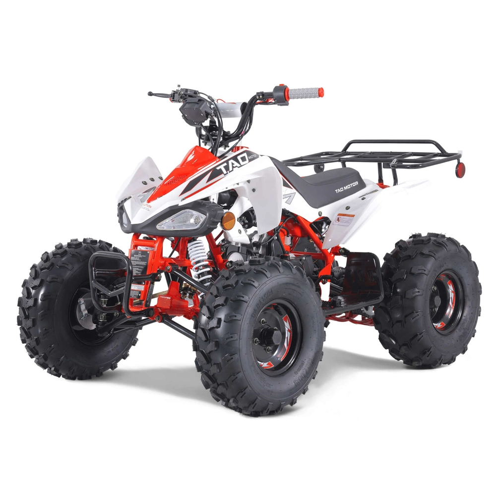 Hot Sales Sport ATV Automatic 110cc 125cc ATV Quad