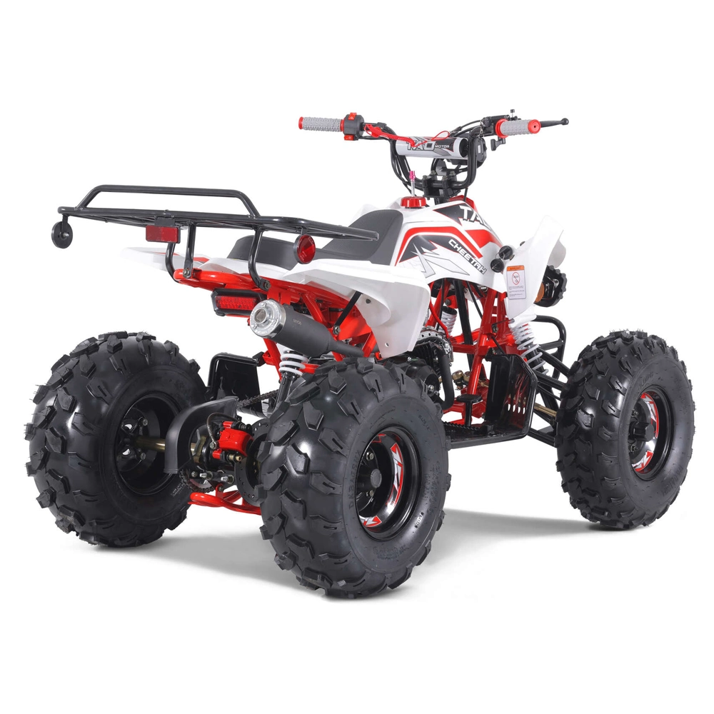 Hot Sales Sport ATV Automatic 110cc 125cc ATV Quad