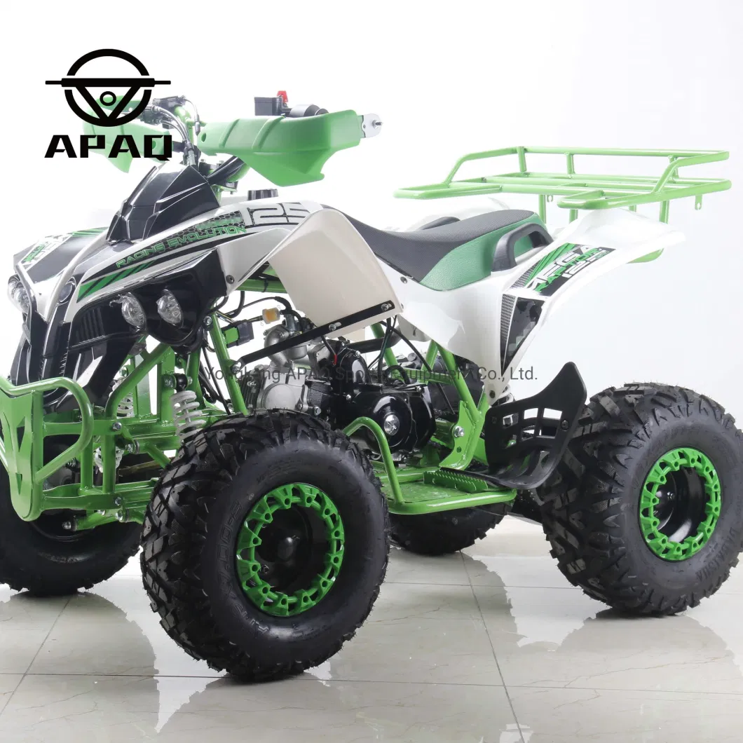 4 Wheel 125cc Quad Bike Cycle 110cc ATV for Sale