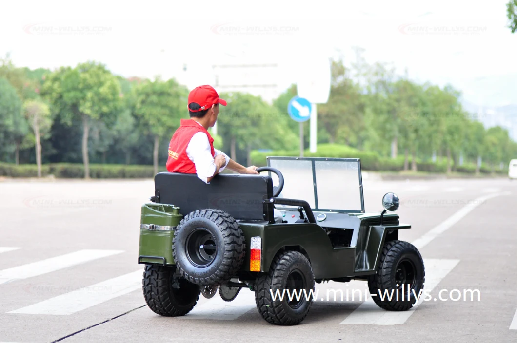 Factory Direct Buy High Qulaity Hot Selling Adult 150cc 200cc Mini Willys Toyota Jeep