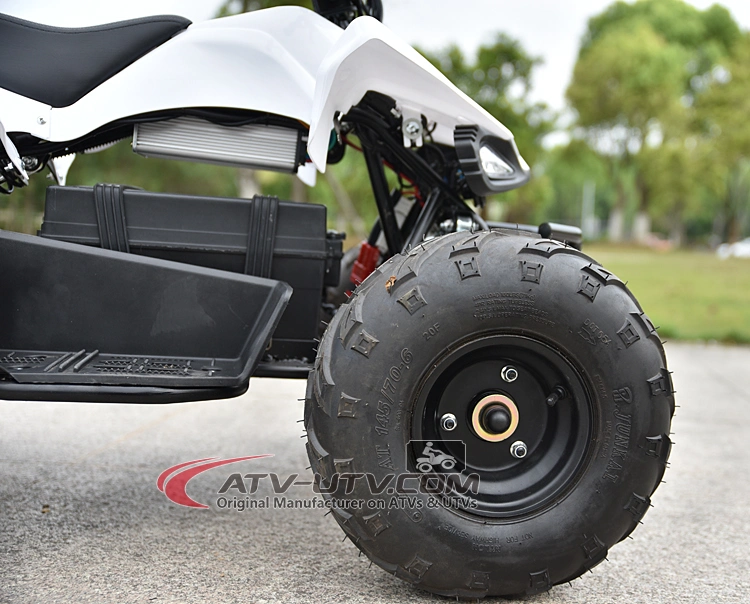 Best Price on Kids 48V 800W DC Motor Electric ATV Wheeler Quad