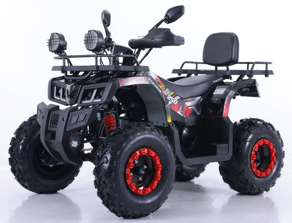 Tao Motor 2024 New Automatic Farm ATV Quad Bike200cc 250cc ATV