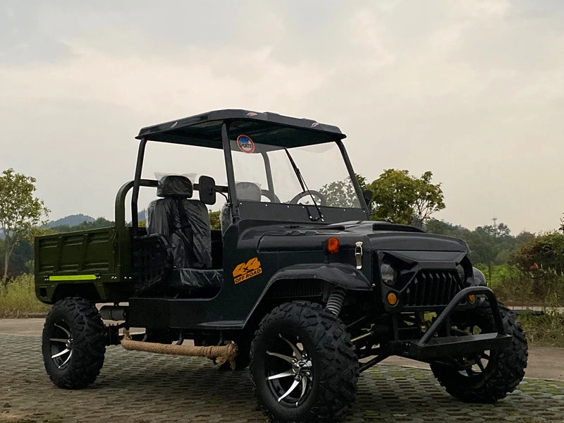 Orchard Agricultural ATV Beach Vehicle for Passenger and Cargo Farm ATV