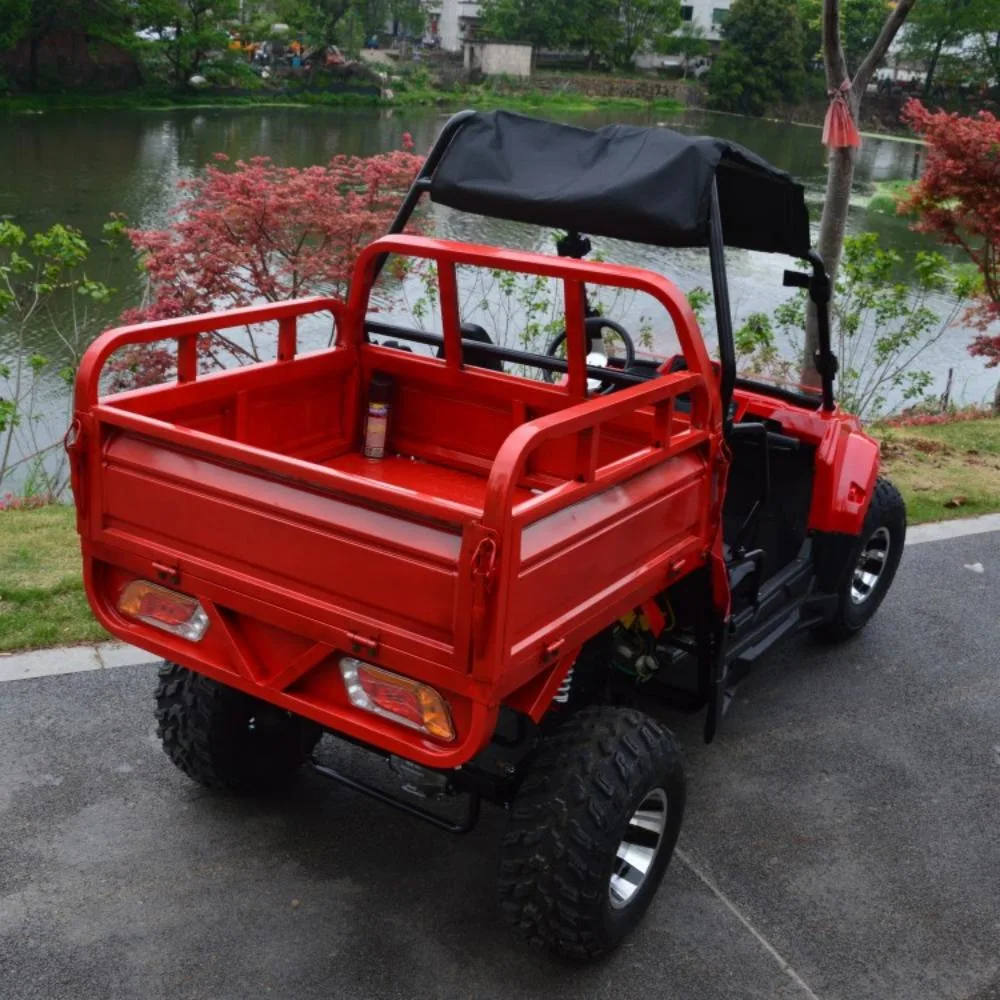 Hot Sale 60V50ah Lithium Battery Farm Utility Vehicle 2 Seater Electric UTV