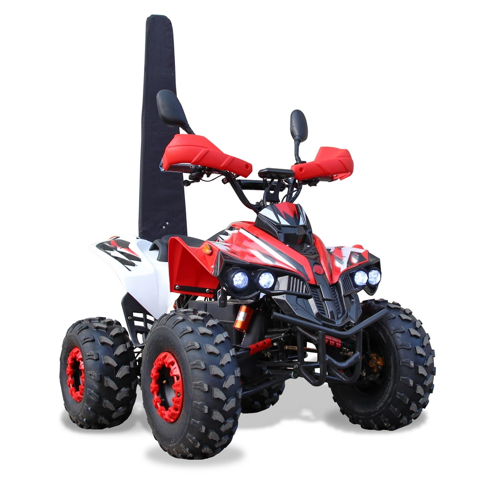 Acceleration 800W 1000W 48V Electric Quad ATV