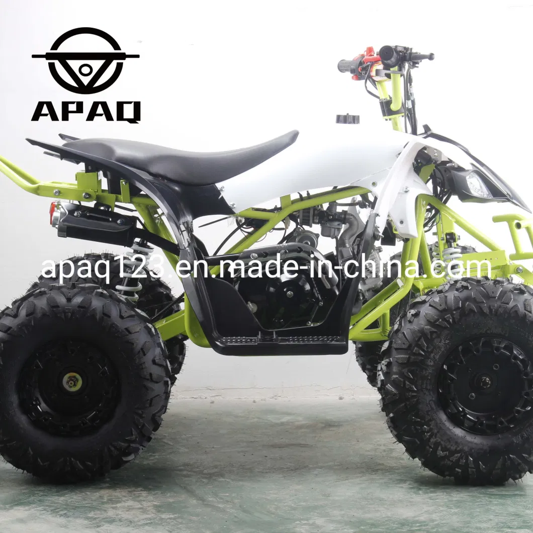 Apaq Child Quad Bike Mini ATV Quad