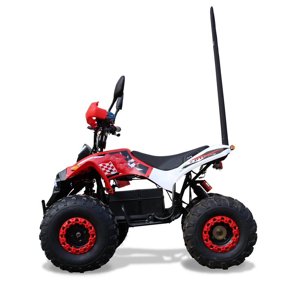 Middle Quad Electric 1000W 1500W 48V ATV