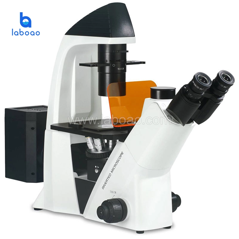 Fluorescence Microscope Uses Ultraviolet Light as The Light Source