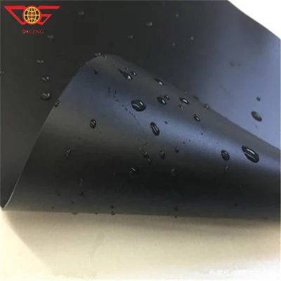 Geomembrane Geomembrane di alta qualità applicazioni Geomembrane rivestimento laghetti Fish Farms Piscine Global Hot Sell