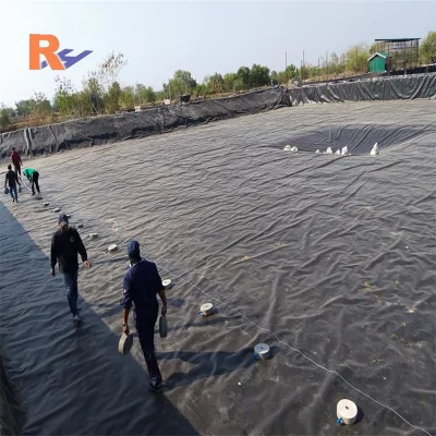 Materiale da costruzione pellicola blu liscia nera HDPE 0.5mm rivestimento laghetto In Cile