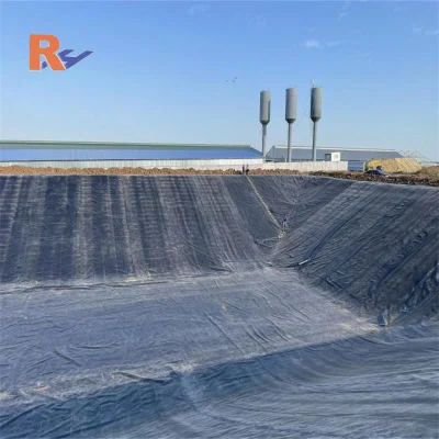 Materiale da costruzione pellicola blu liscia nera HDPE 0.5mm rivestimento laghetto In Cile