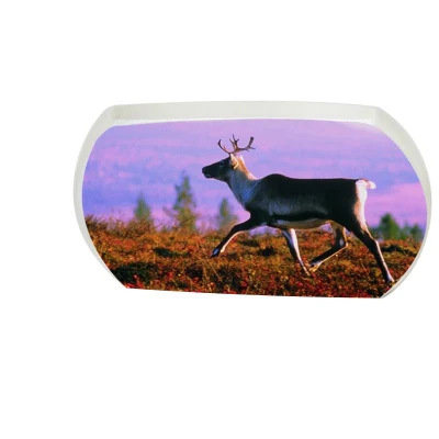 Lenti di rivestimento personalizzate con tecnologia Ar+HR 22X33mm, riflettenti e antiriflesso
