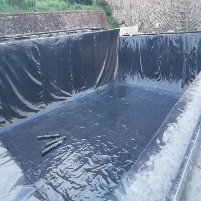 Rivestimento blu della piscina