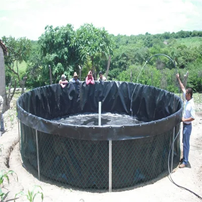 Rivestimento blu della piscina