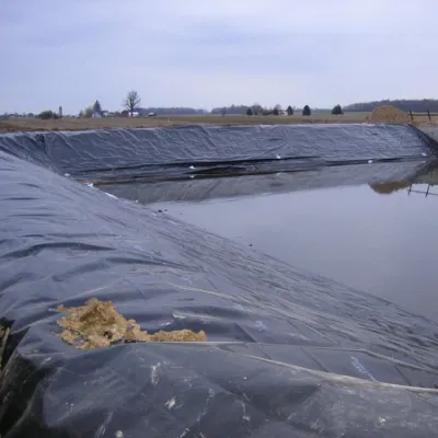 Fodera di plastica della diga di cemento di rivestimento di stagno di Patching di stagno di fattoria Rivestimento interno in HDPE geomembrana