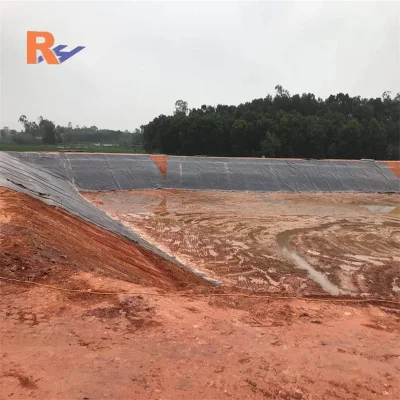 Materiale da costruzione pellicola blu liscia nera HDPE 0.5mm rivestimento laghetto In Cile