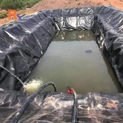 Materiale da costruzione pellicola blu liscia nera HDPE 0.5mm rivestimento laghetto In Cile