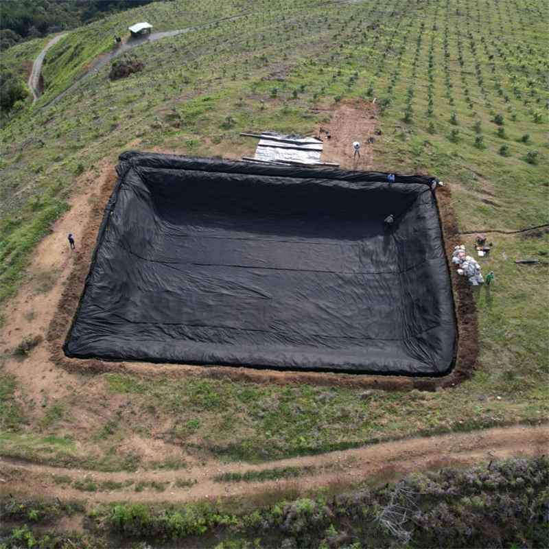Black Builders Film Impermeable Biogas Membrane Pool Shrimp Farming HDPE Dam Lining in Zambia