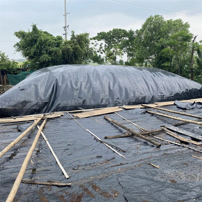 Waterproof Smooth/Textured Black/Blue/White/Green Color Fish Farm Pond Lining in Uruguay/Paraguay