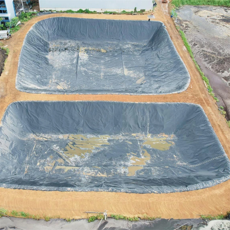 Waterproof Smooth/Textured Black/Blue/White/Green Color Fish Farm Pond Lining in Uruguay/Paraguay