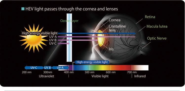 High Quality 1.56 Aspheric Blue Cut Waterproof Anti-Dust Optical Lens