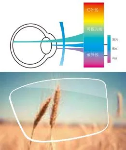 Index 1.61 UV420 Blue Light Blocking Hmc Eyewear Optical Lens