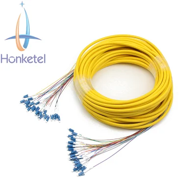 Custom Meters LC/Sc/FC/St Connector Patch Cord 24 Fibers OS2 Singlemode Indoor Pre-Terminated Fiber Optic Patch Cable