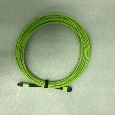 MPO (Female) -MPO (Female) Standard Elite Loss Fiber Optical Patch Cord with Om5 Fiber Cable 10 Meters