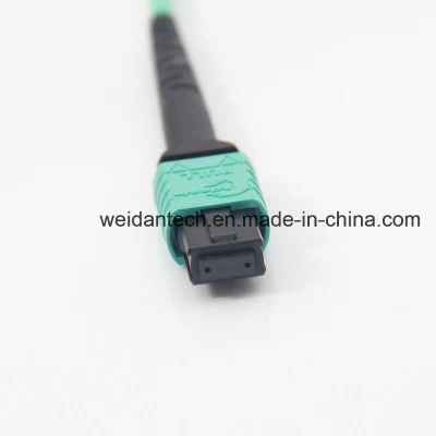 10m 40g Om3 Fiber MPO/MTP Patch Cord for Qsfp+