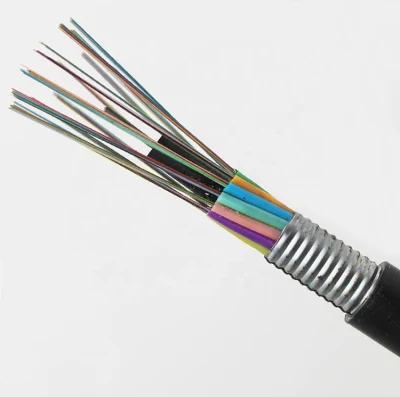 Gxts G652D G657A 12, 24, 48, 36 Cores with Drop Wire Outdoor Fiber Optic Cable