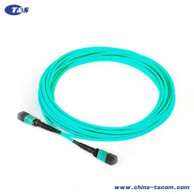 10m (33FT) MTP® -24 (Male) to MTP® -24 (Male) Om3 Multimode Trunk Cable, 24 Fibers, Type B, Plenum (OFNP) , Aqua, #E1438