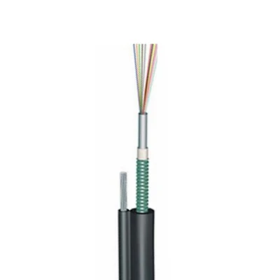 OEM PE Multi-Mode Fiber Optic Cable FTTH Price Wire 2 Core Optical Gyxtc 8s