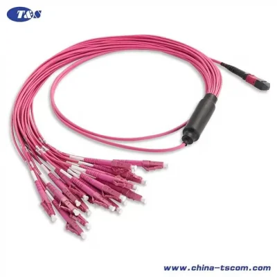 3m (10FT) MTP® Female to 24 LC Upc 24 Fibers Type a LSZH Om4 50/125 Multimode HD Harness Cable, Magenta, #E0380