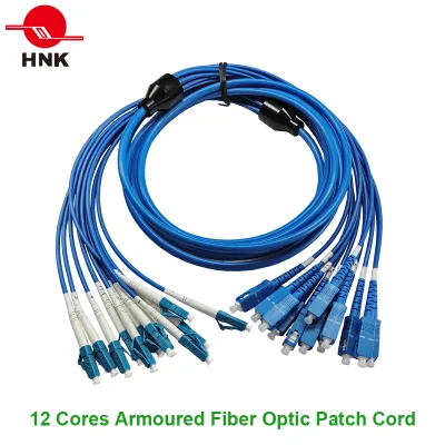 Indoor Sc/LC/FC/St/E2000/Mu Armoured Fiber Optic Armored Patch Cord