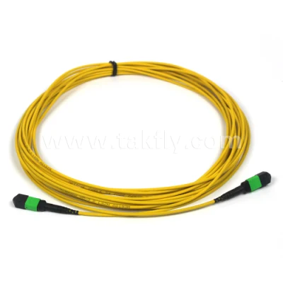 Ofnp 4/8/12/24/48/72/144/288 Cores Optical Fiber Cable MPO Trunk Cable Fiber Optic Patch Cord