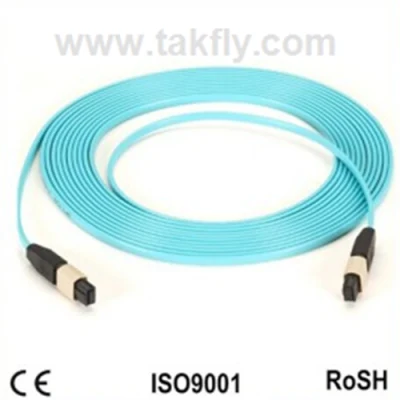 12 Core LC/Sc/St/FC Connector LSZH Round MPO/MTP Fiber Optic OS2/Om2/Om3 MPO/MTP Patch Cord